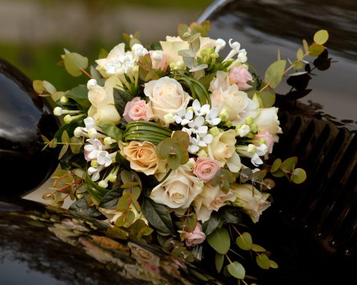 10470850_1575694469366567_6064102278139619090_o