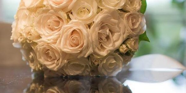 12592763_1684917228444290_7090911283721641768_n